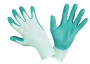 CF.10PP GUAN.PERFECT POLY AQUA